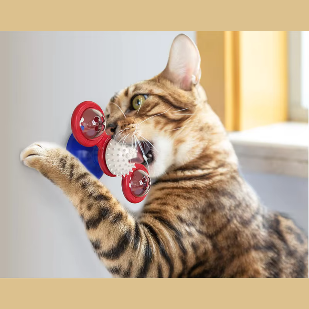 Interactive Windmill Cat Toy